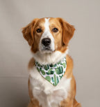 Cactus Dog Bandana 2 - MiniPaw Luxe