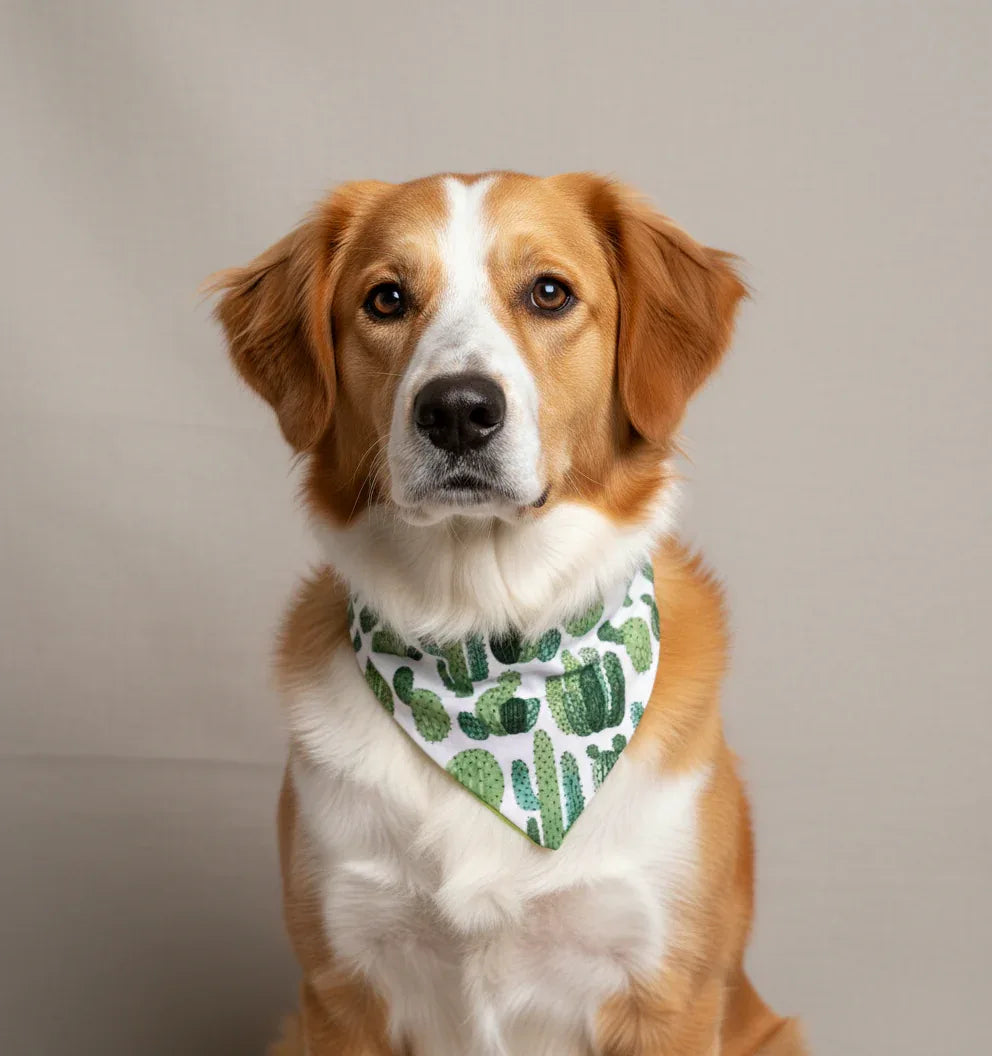 Cactus Dog Bandana 2 - MiniPaw Luxe