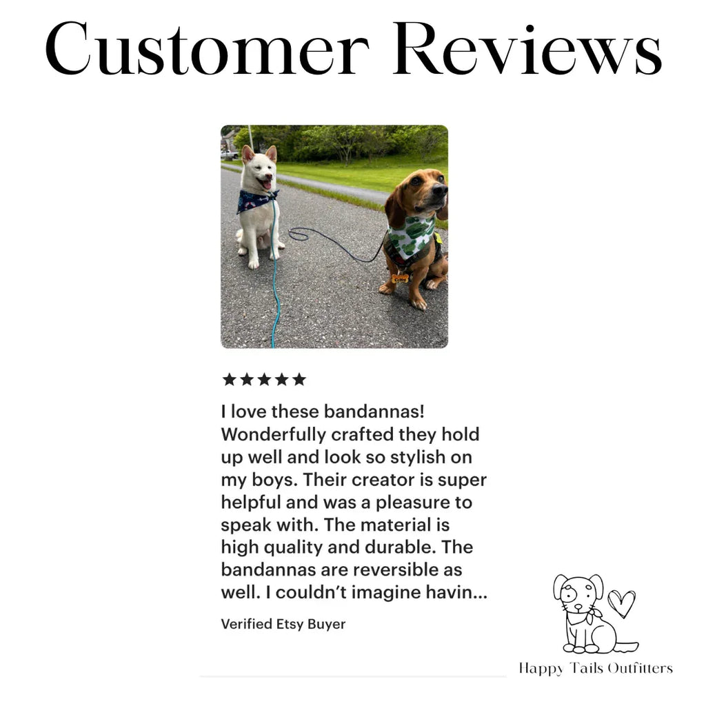 Cactus Dog Bandana 7 - MiniPaw Luxe