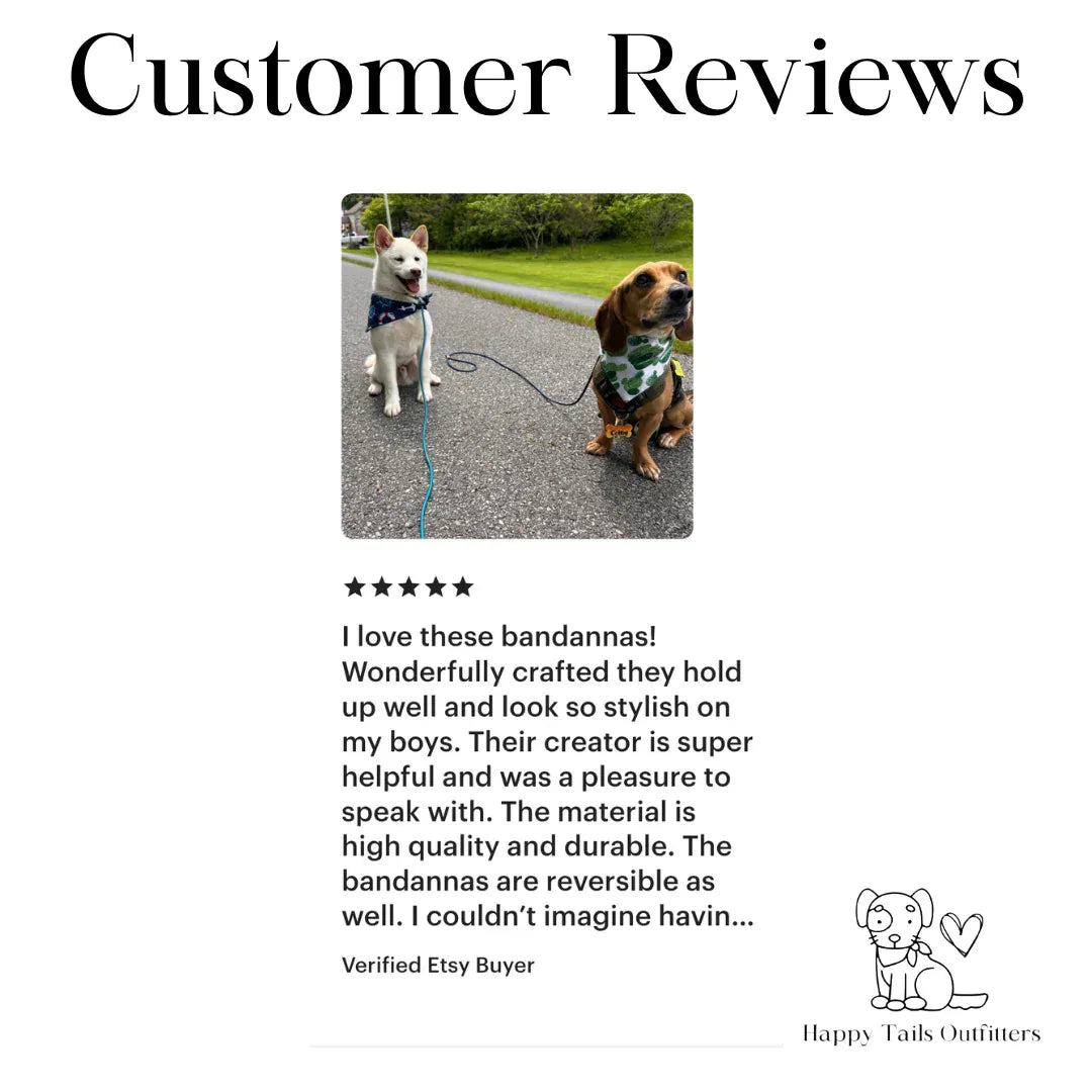 Cactus Dog Bandana 7 - MiniPaw Luxe