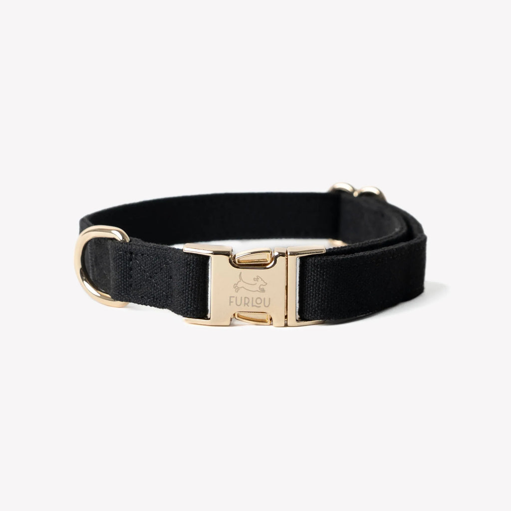 Canvas Dog Collar | Black 1 - MiniPaw Luxe