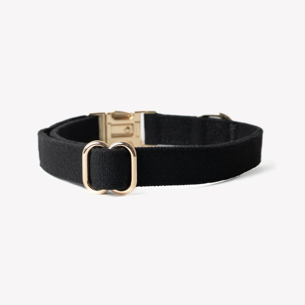 Canvas Dog Collar | Black 2 - MiniPaw Luxe