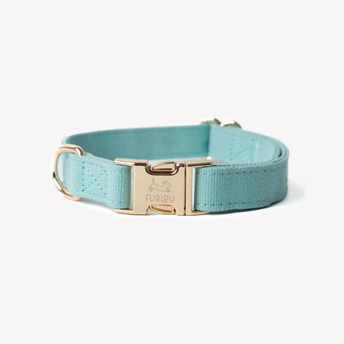 Canvas Dog Collar | Blue 1 - MiniPaw Luxe