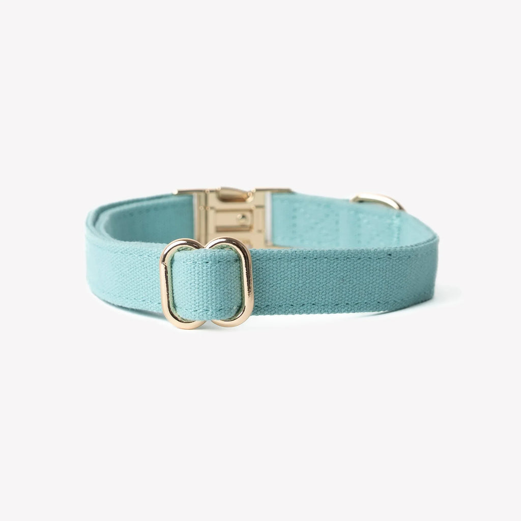 Canvas Dog Collar | Blue 2 - MiniPaw Luxe