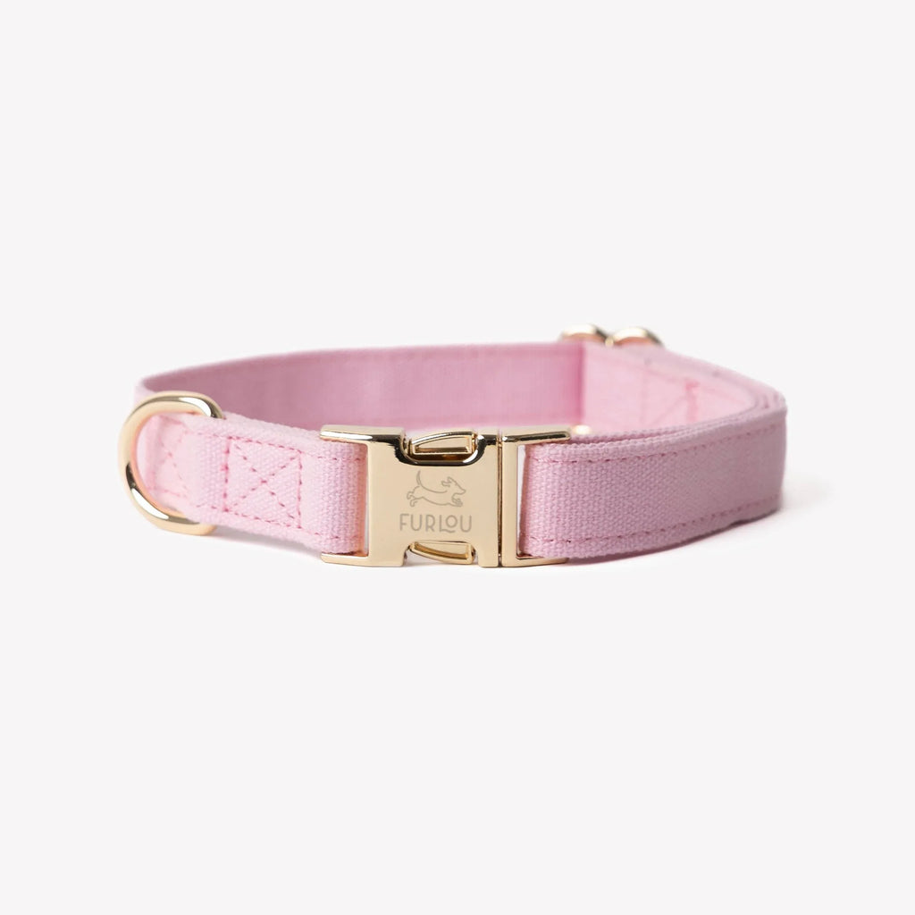 Canvas Dog Collar | Pink 1 - MiniPaw Luxe