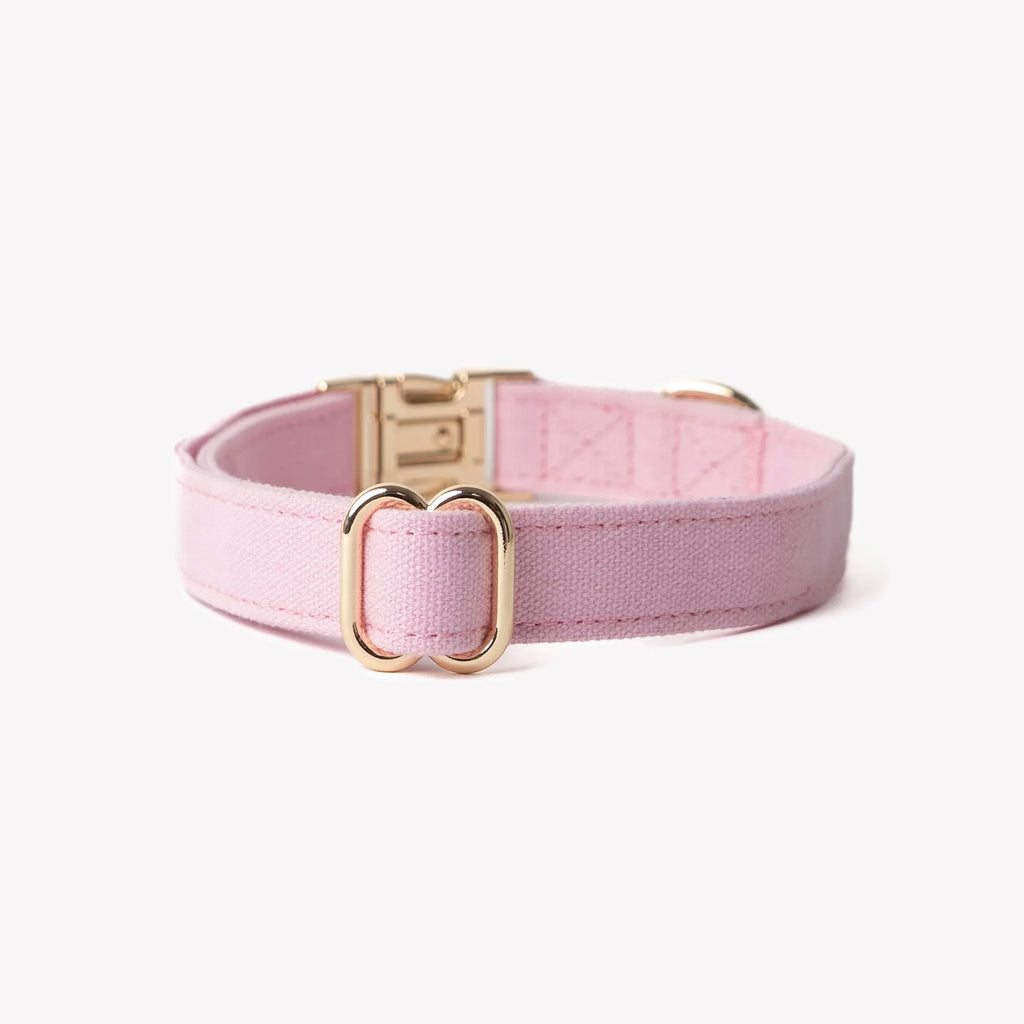 Canvas Dog Collar | Pink 2 - MiniPaw Luxe