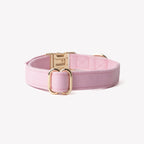 Canvas Dog Collar | Pink 2 - MiniPaw Luxe