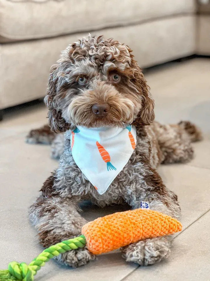 Carrot 7 - MiniPaw Luxe