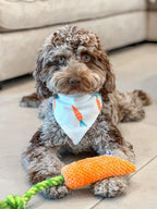 Carrot 7 - MiniPaw Luxe