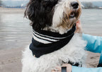 Cashmere Blend Matching Scarf Set | Black and White 2 - MiniPaw Luxe
