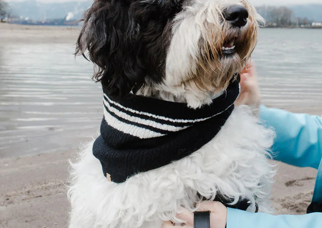Cashmere Blend Matching Scarf Set | Black and White 2 - MiniPaw Luxe