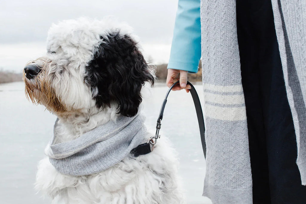 Cashmere Blend Matching Scarf Set | Heather Grey 2 - MiniPaw Luxe