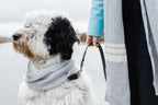 Cashmere Blend Matching Scarf Set | Heather Grey 2 - MiniPaw Luxe