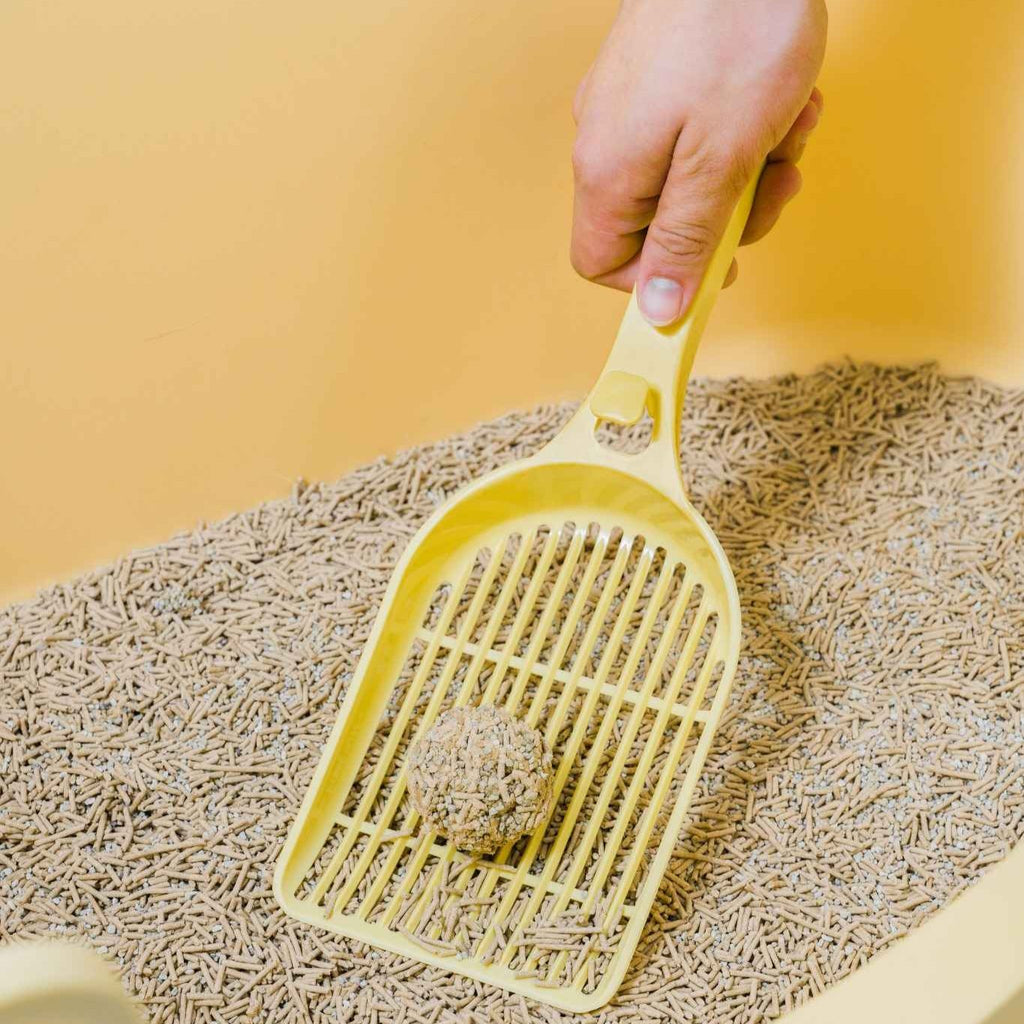 Yellow scoop in a cat litter box with a hand holding it, on a yellow background