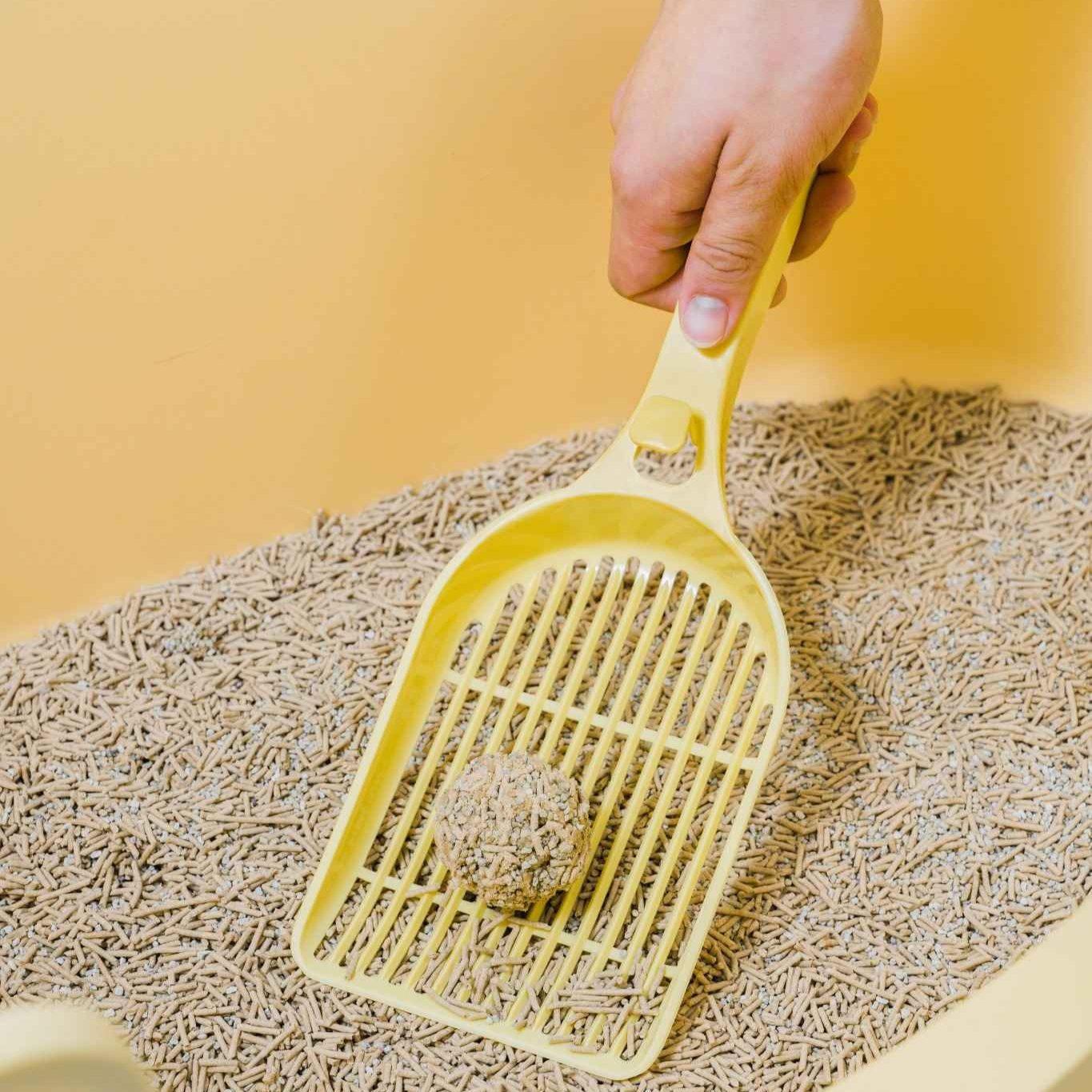 Yellow scoop in a cat litter box with a hand holding it, on a yellow background