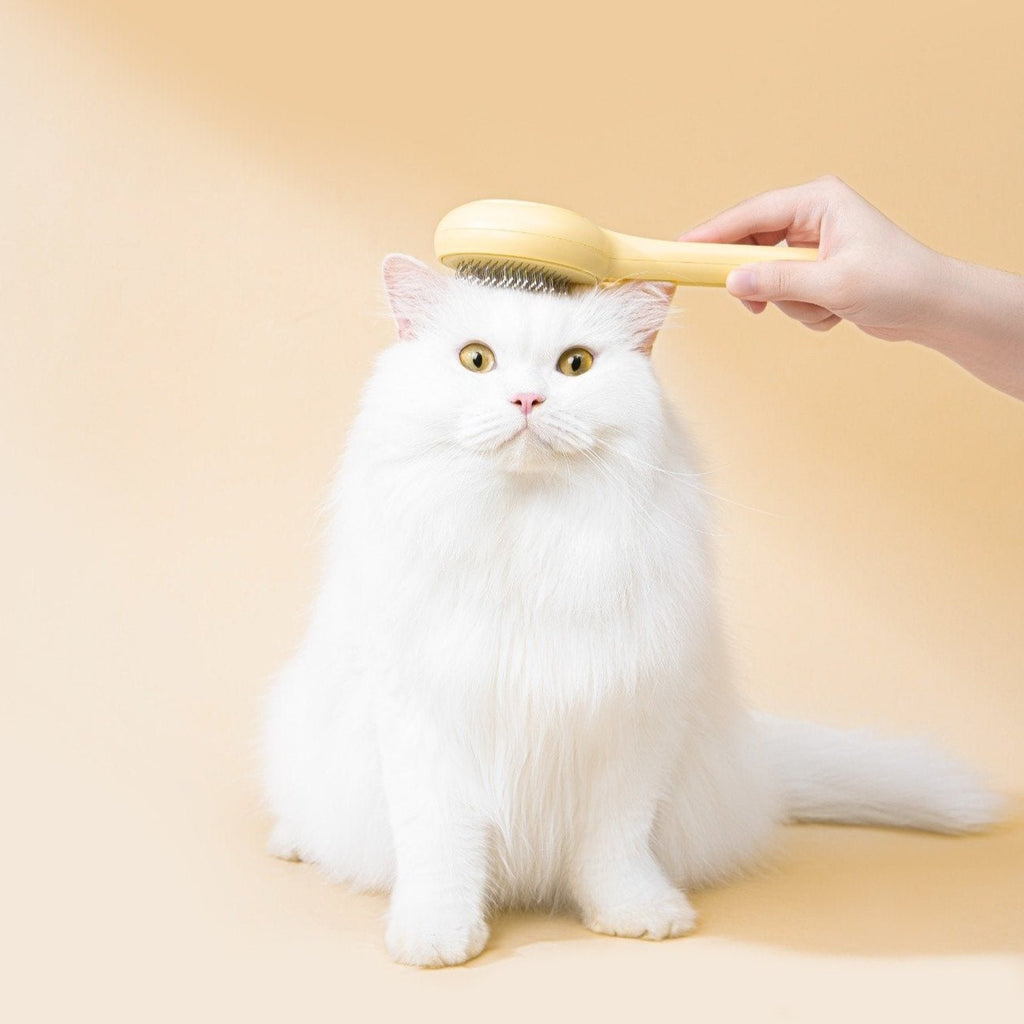 Cat Press Comb