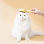 Cat Press Comb
