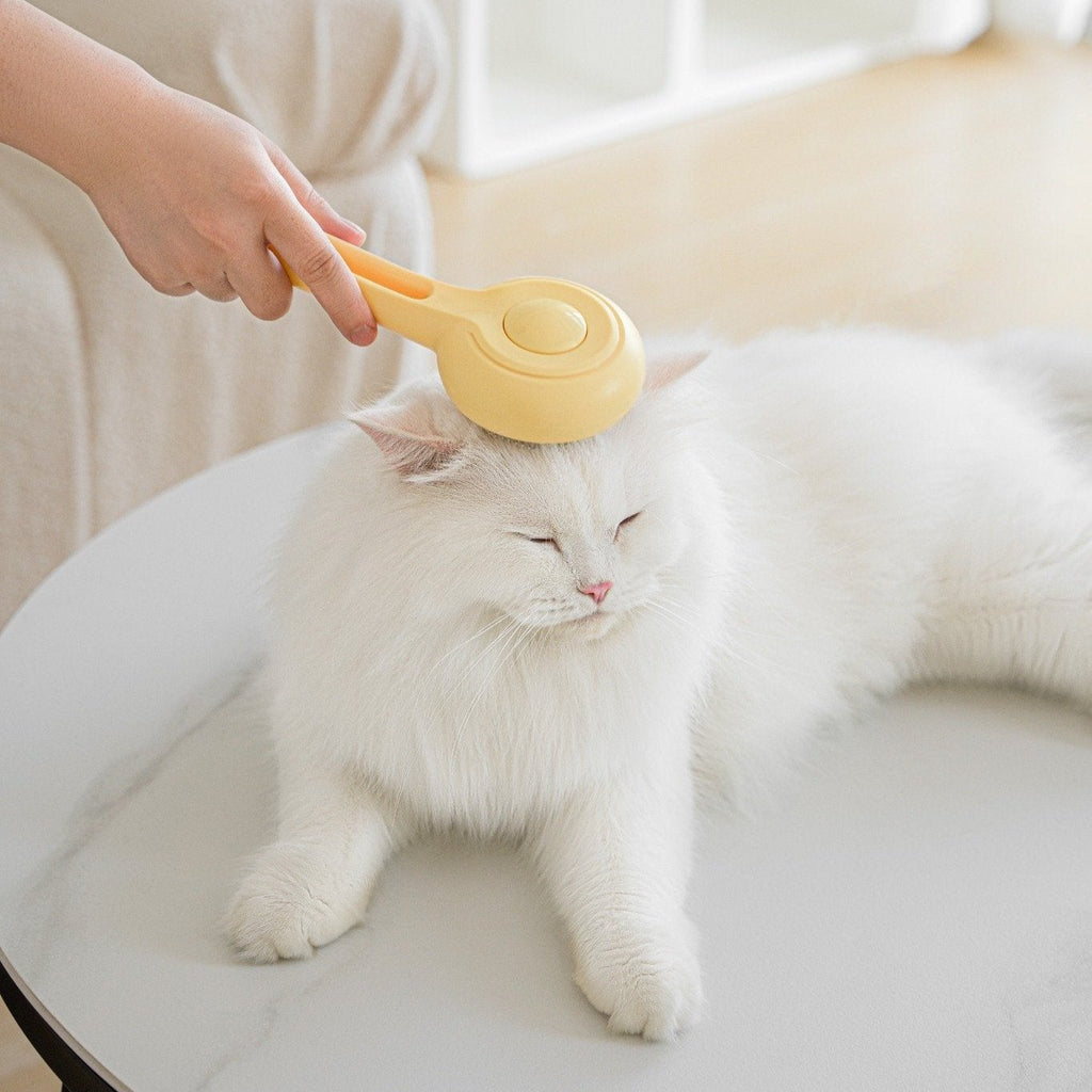 Cat Press Comb