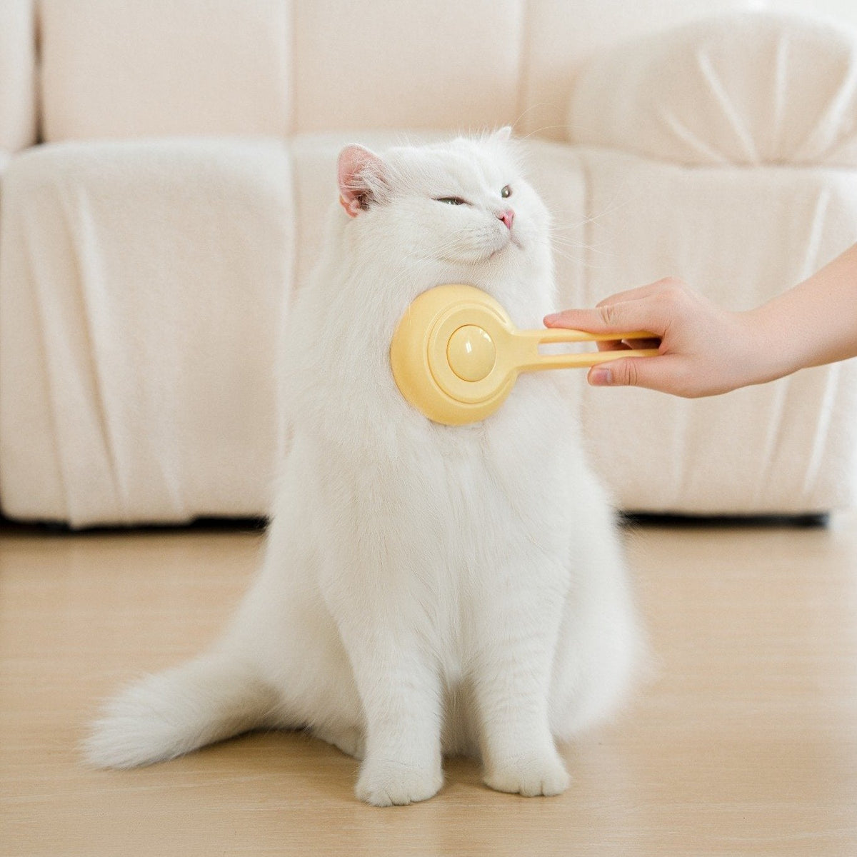 Cat Press Comb