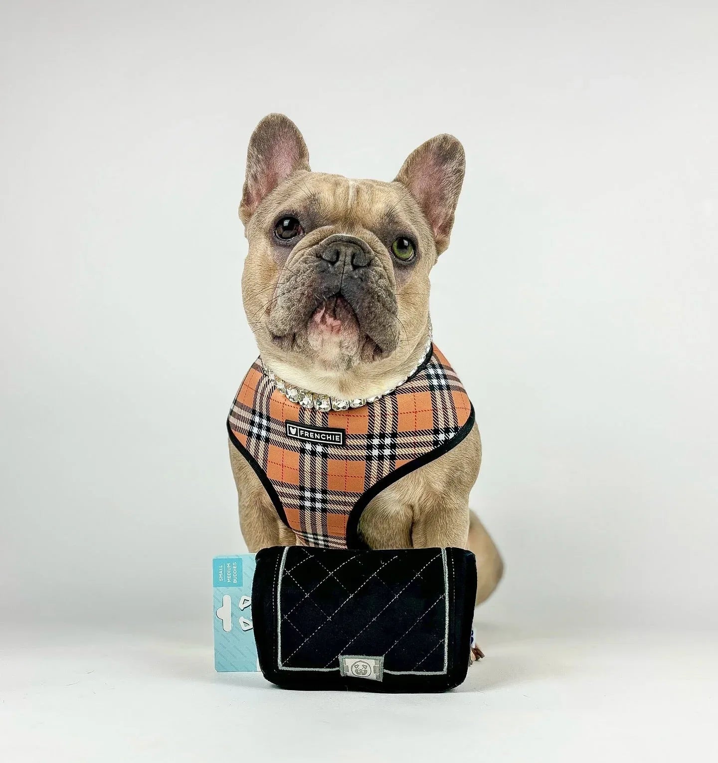 Chewnel Bag 8 - MiniPaw Luxe