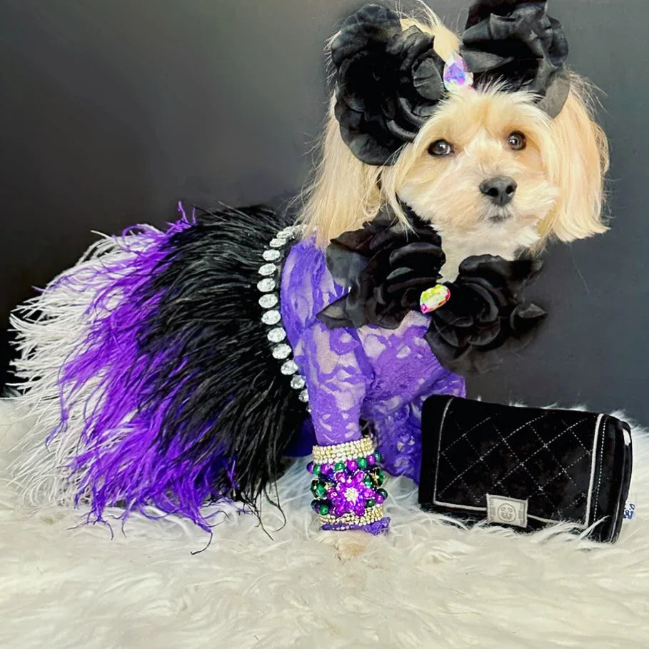 Chewnel Bag 9 - MiniPaw Luxe