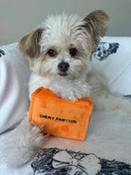 Chewy Pawtton 10 - MiniPaw Luxe