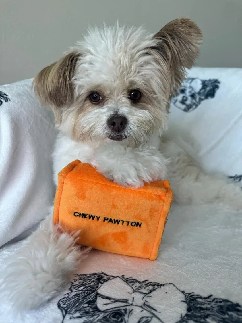 Chewy Pawtton 10 - MiniPaw Luxe