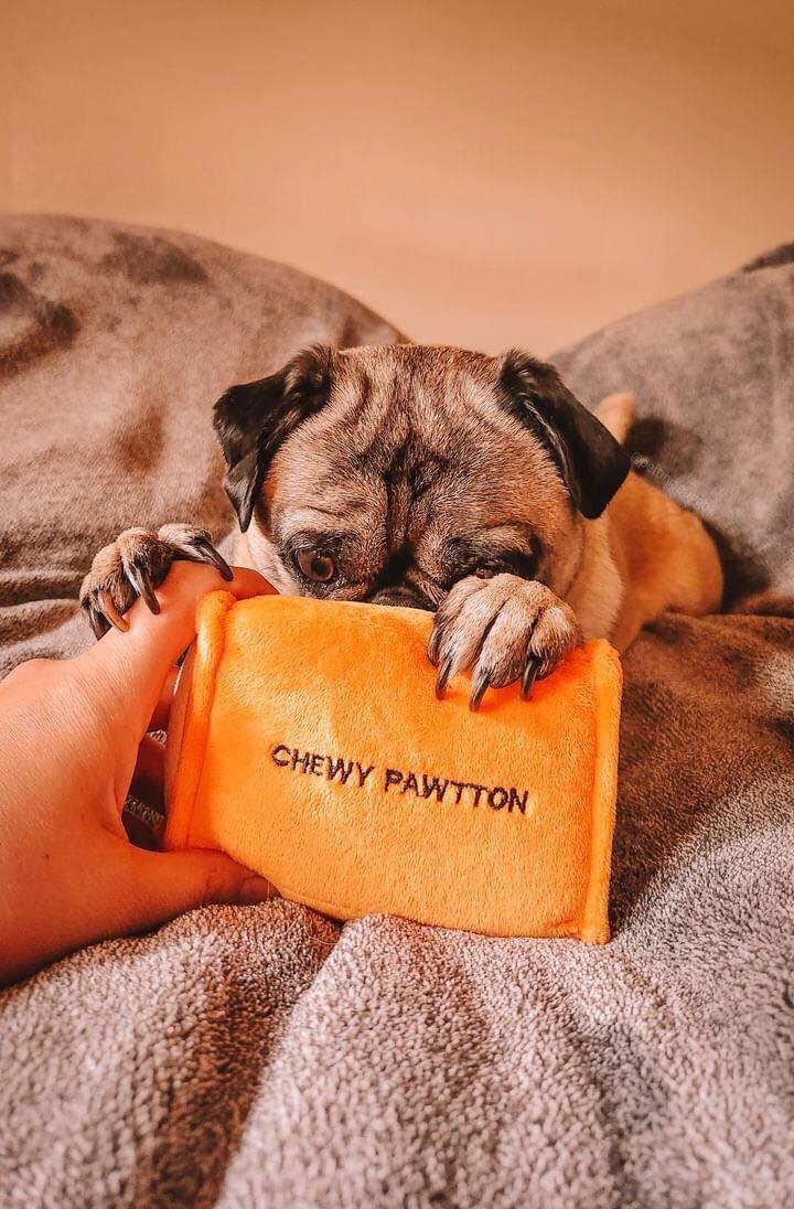 Chewy Pawtton 11 - MiniPaw Luxe