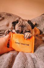 Chewy Pawtton 11 - MiniPaw Luxe