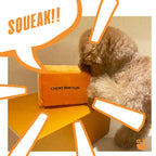 Chewy Pawtton 3 - MiniPaw Luxe