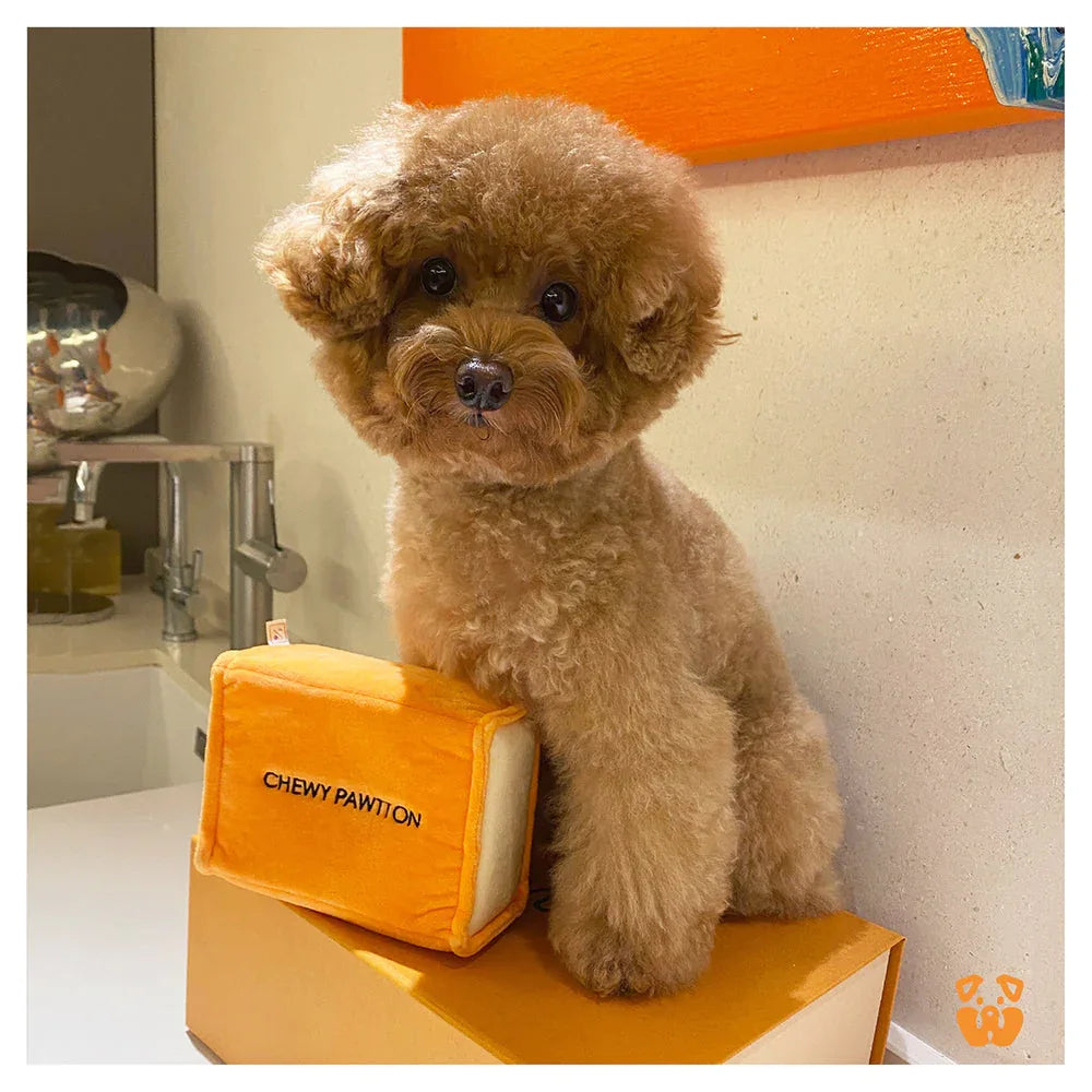 Chewy Pawtton 7 - MiniPaw Luxe