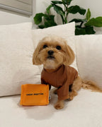 Chewy Pawtton 9 - MiniPaw Luxe