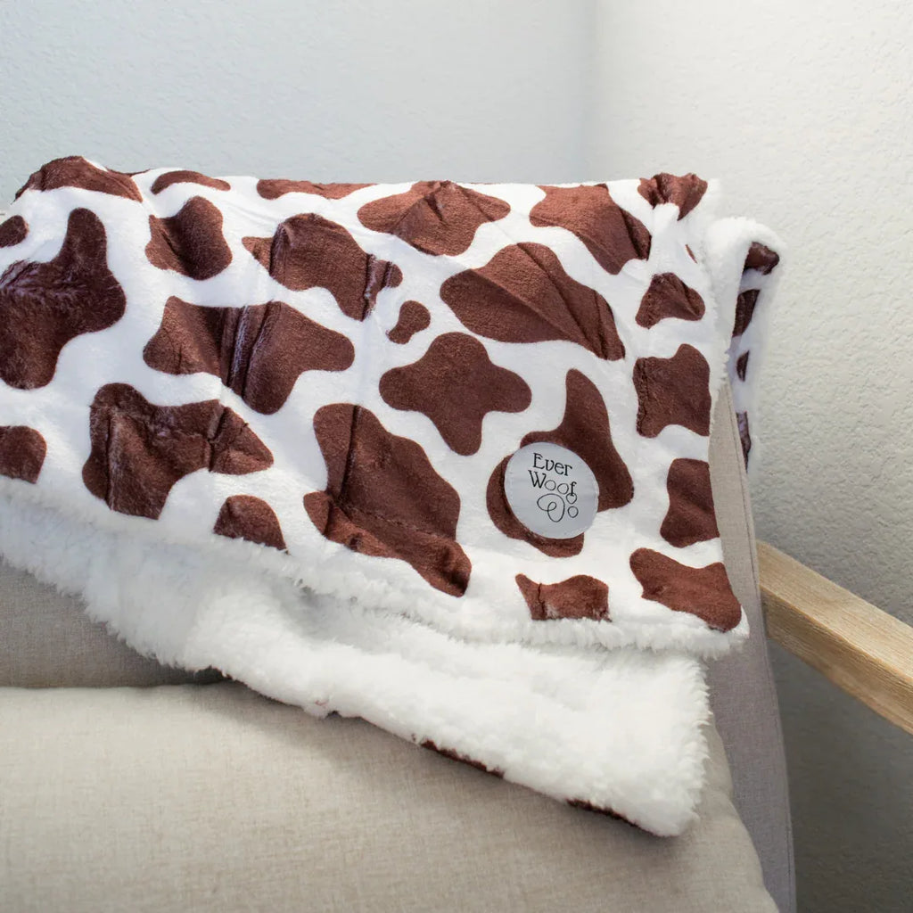 Chocolate Cow Dog Blanket 3 - MiniPaw Luxe