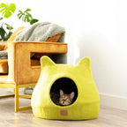 Citrus Green | Ear Style Cave 1 - MiniPaw Luxe