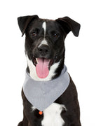 Classic Bandana 12 - MiniPaw Luxe