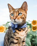 Classic Bandana 13 - MiniPaw Luxe