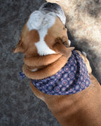 Classic Bandana 4 - MiniPaw Luxe