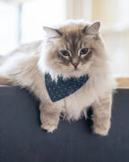 Classic Bandana 8 - MiniPaw Luxe