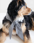 Classic Necktie 12 - MiniPaw Luxe