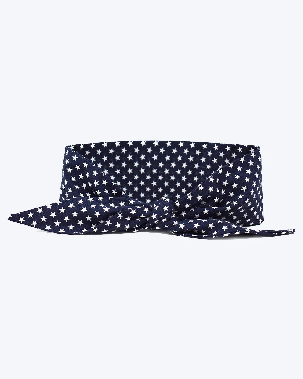 Classic Necktie 14 - MiniPaw Luxe