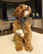 Classic Necktie 15 - MiniPaw Luxe