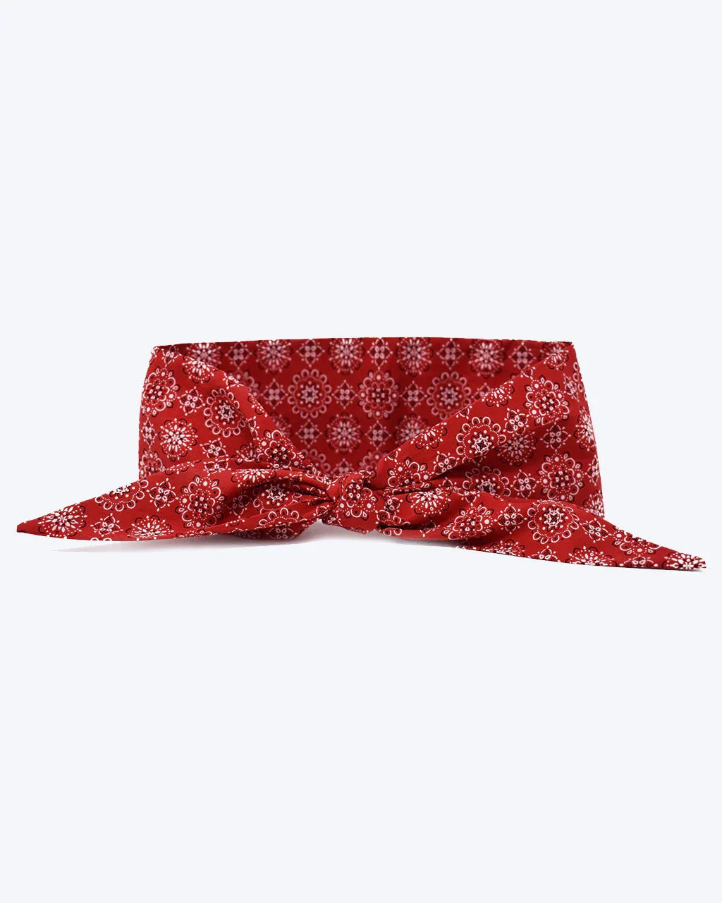 Classic Necktie 16 - MiniPaw Luxe