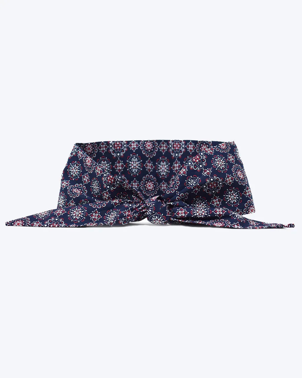 Classic Necktie 18 - MiniPaw Luxe