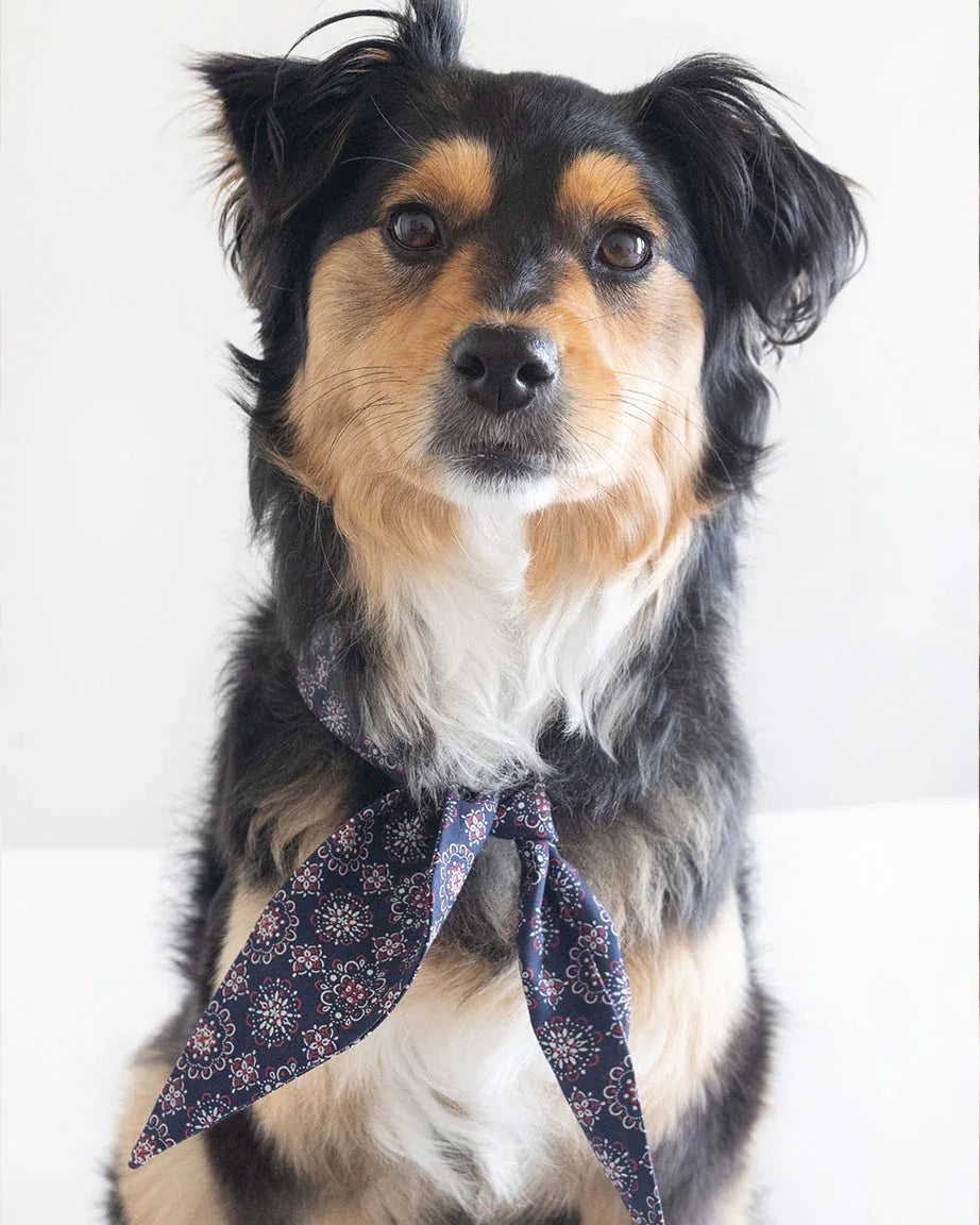 Classic Necktie 19 - MiniPaw Luxe