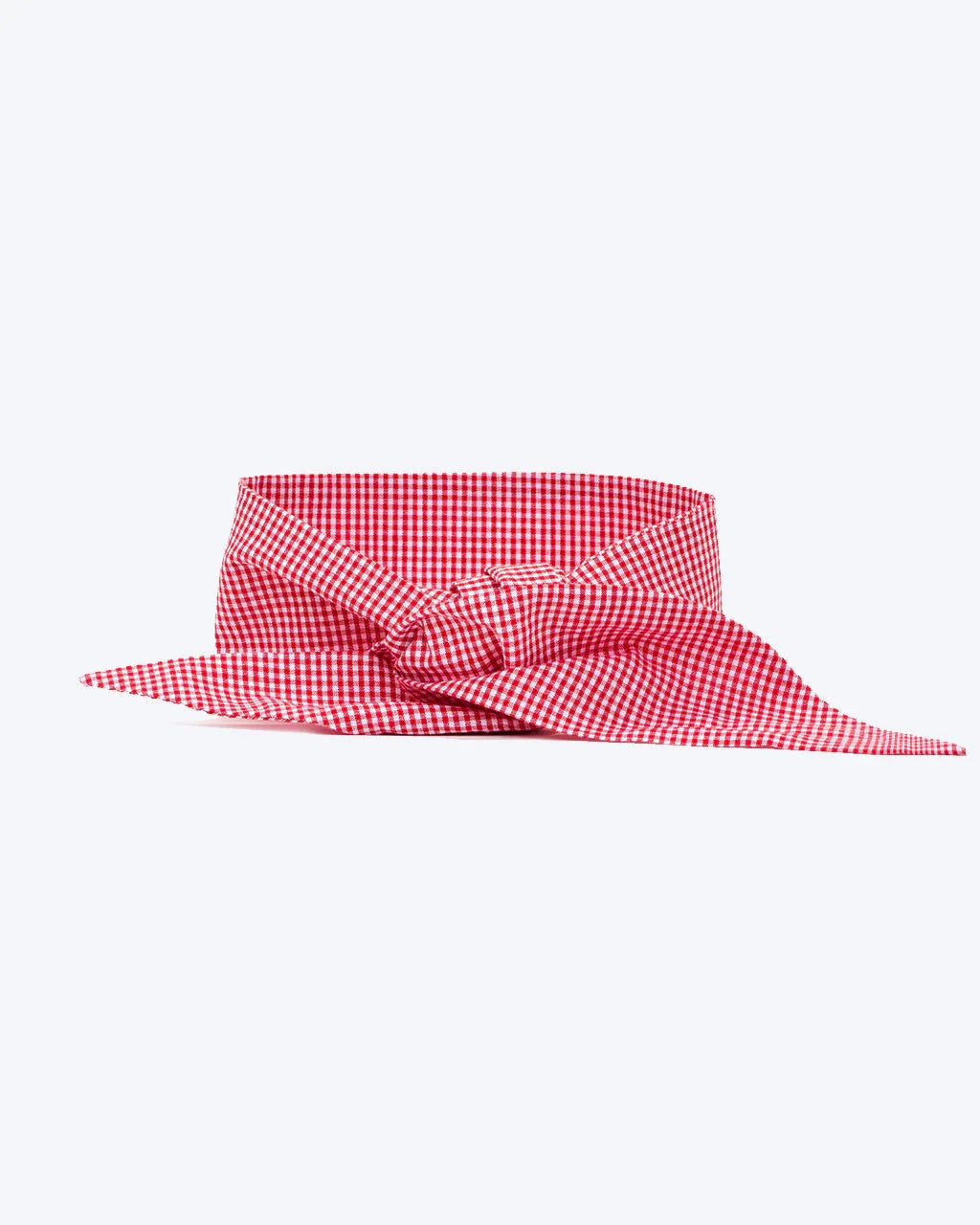 Classic Necktie 20 - MiniPaw Luxe