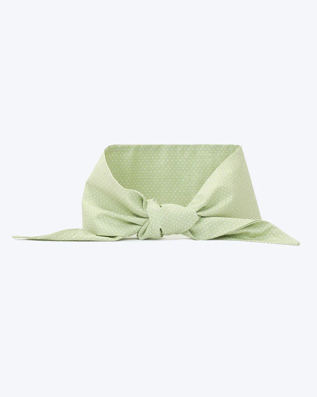 Classic Necktie 22 - MiniPaw Luxe