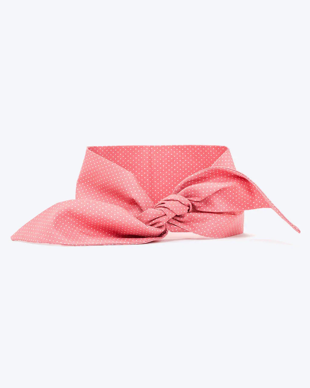 Classic Necktie 24 - MiniPaw Luxe