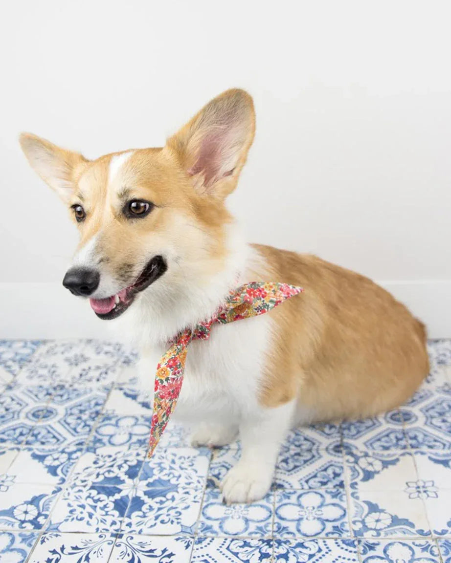 Classic Necktie 4 - MiniPaw Luxe