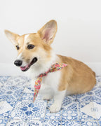 Classic Necktie 4 - MiniPaw Luxe