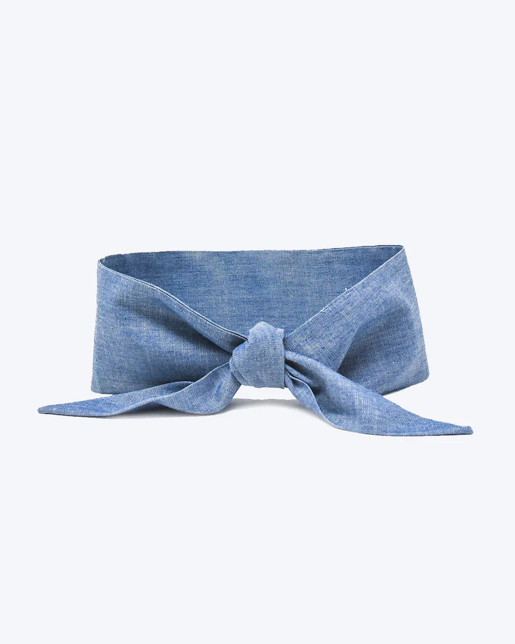 Classic Necktie 9 - MiniPaw Luxe